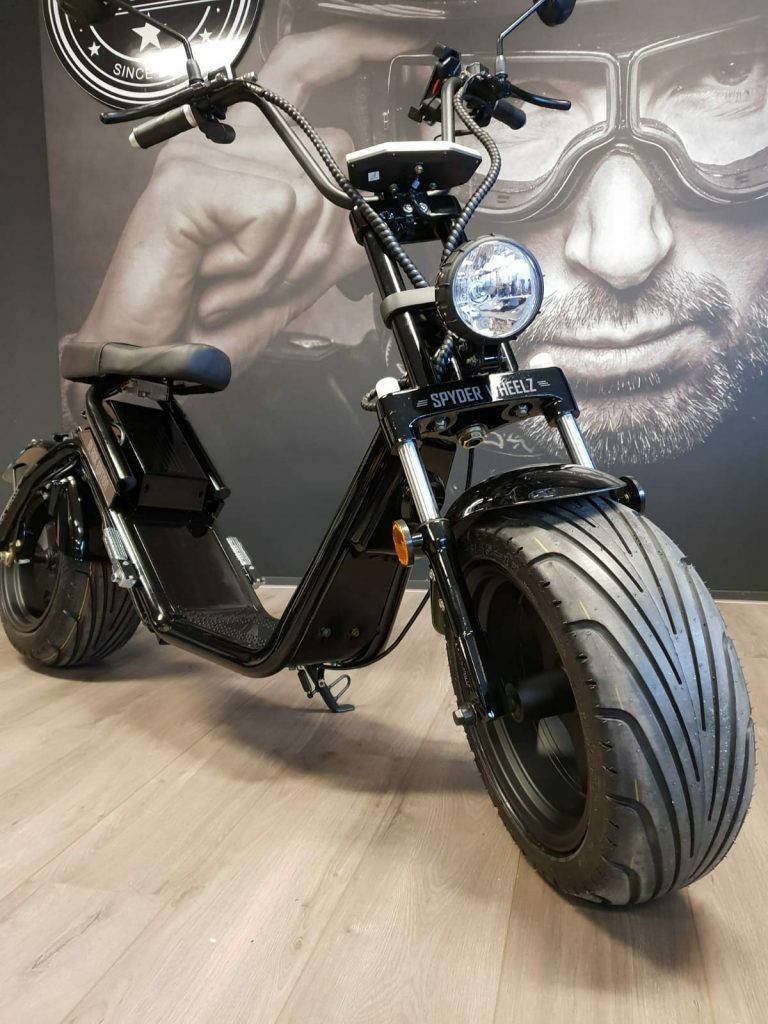 Mieten Sie einen E-Chopper oder Elektro-Roller in der Achterhoek