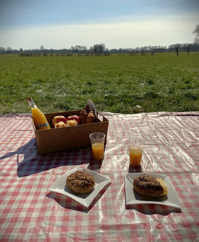 Picknick bij tuktuk, e-chopper, tandem, trigger of meer